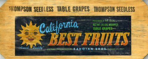 California Best Fruits